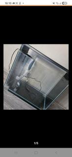 Superfish home 40 led zwart, Dieren en Toebehoren, Vissen | Aquariumvissen, Vis