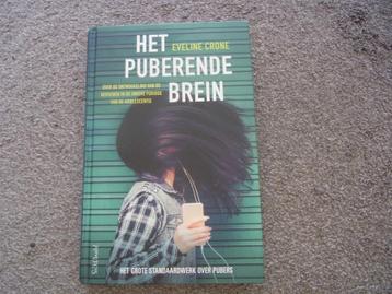Het puberende brein  Eveline Crone beschikbaar voor biedingen