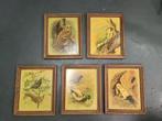 Schilderijen 5x Vogel van schilder Basil Ede ORIGINEEL, Antiek en Kunst, Ophalen of Verzenden