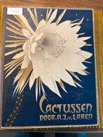 Cactussen door A.J.V. Laren - Plaatjesalbum (Verkade boeken), Boeken, Prentenboeken en Plaatjesalbums, Ophalen, Gelezen, Plaatjesalbum