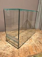 Mooie terrariums voor bv Isopods,spinnen, kevers,enz, Dieren en Toebehoren, Ophalen, Zo goed als nieuw