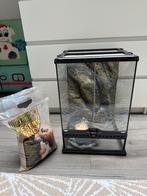 Exo Terra Terrarium X-Small Tall – 30X30X45 cm, Ophalen, Zo goed als nieuw