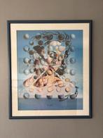 Salvador Dali - Galatea of the Spheres, Ophalen