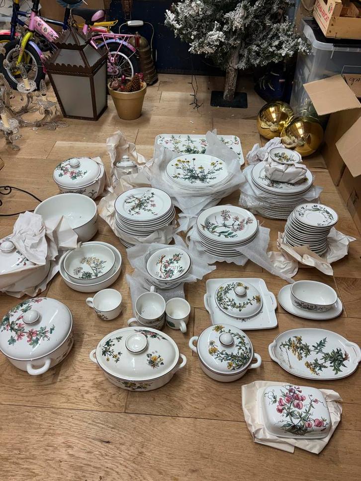 Villeroy & Boch Botanica Servies, Huis en Inrichting, Keuken | Servies, Gebruikt, Compleet servies, Overige stijlen, Aardewerk