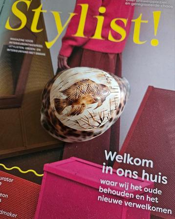 Handgesneden Kauri Schelp met Vis beschikbaar voor biedingen
