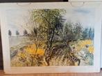 Oude schoolplaat "Beeklandschap bij Winterswijk", Ophalen, Natuur en Biologie