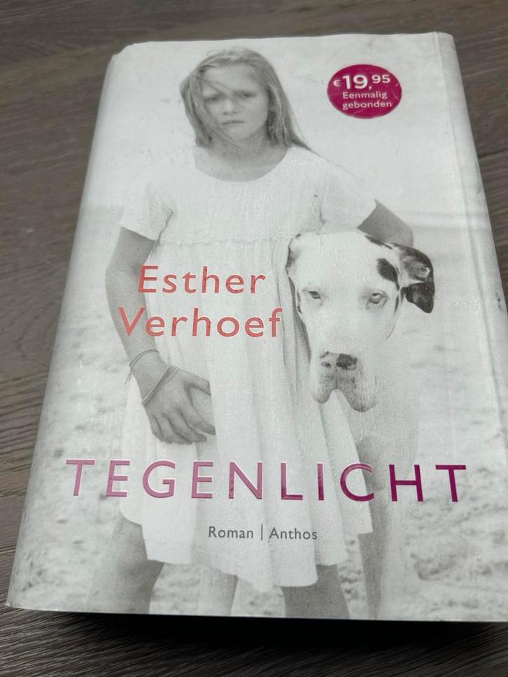 Martijn Knol - Alles kan kapot, Boeken, Literatuur, Zo goed als nieuw, Ophalen of Verzenden