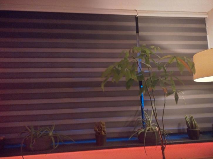 Duo rolgordijnen Somfy RTS - 200x170 & 100x170, Huis en Inrichting, Stoffering | Gordijnen en Lamellen, Ophalen