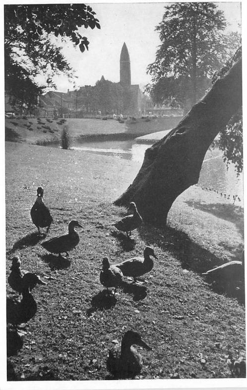 (388-324-025) Driebergen-Rijsenburg De Wildbaan, Verzamelen, Ansichtkaarten | Nederland, Utrecht, Ophalen of Verzenden