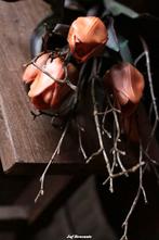 Takkenbosje kunst, Www.jufbrocante.nl, Www.jufbrocante.nl, Nieuw, Ophalen of Verzenden