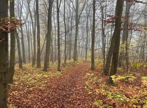 Bosgrond te koop in Duitsland 736m2, Diversen, Overige Diversen, Verzenden