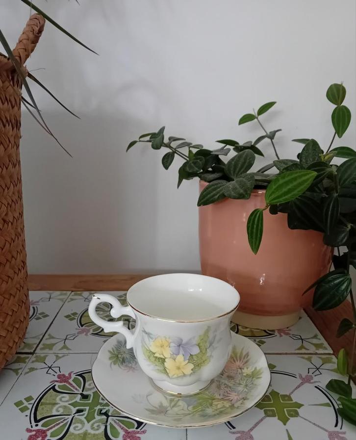 Vintage Bloemenkop en Schotel van St. James Bone, Antiek en Kunst, Antiek | Servies los, Ophalen of Verzenden