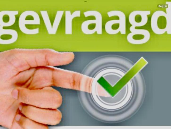 2 Riese Birdy Müller Vouwfietsen Gezocht voor Italië, Fietsen en Brommers, Overige Fietsen en Brommers, Gebruikt, Ophalen of Verzenden