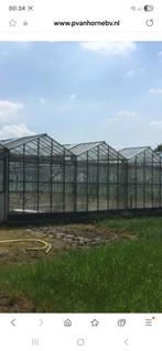 Gezocht volkstuin/perceel of kas omgeving Beverwijk, Eén persoon