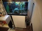 Aquarium, Dieren en Toebehoren, Ophalen, Gevuld zoetwateraquarium