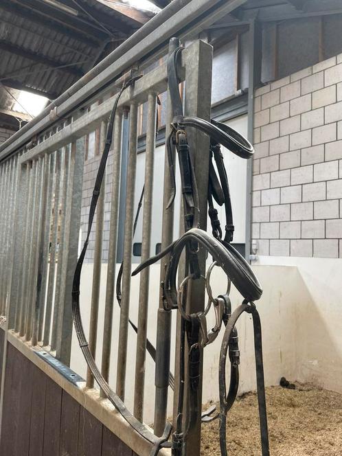 Leren hoofdstel, Dieren en Toebehoren, Paarden en Pony's | Hoofdstellen en Tuigage, Gebruikt, Dressuur, Ophalen