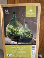 nieuwe planten terrarium, Huis en Inrichting, Ophalen of Verzenden, Overige soorten, Minder dan 100 cm