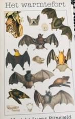 Gesigneerd: Marieke Lucas Rijneveld, Het warmtefort BKWessay, Ophalen of Verzenden, Nieuw, Marieke Lucas Rijneveld,