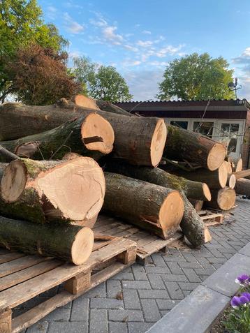 Haardhout te koop beschikbaar voor biedingen