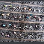 Neus wenkbrauw piercings verschillende, Sieraden, Tassen en Uiterlijk, Piercings, Verzenden, Nieuw, Wenkbrauwpiercing