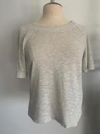 Drykorn t-shirt dun truitje korte mouw wit zilver grijs S/36, Drykorn, Verzenden, Korte mouw, Maat 36 (S)