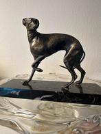 statig honden beeldje whippet italiaanse windhondje, Ophalen of Verzenden