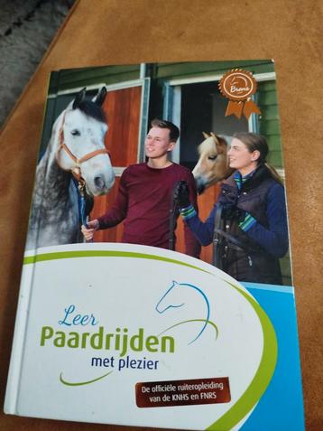 Annemarie Rietman-Koopman - Leer paardrijden met plezier beschikbaar voor biedingen