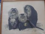 steendruk litho baviaan aap b.s art deco, Ophalen of Verzenden