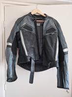 EVO Leren Motorjas Dames Maat 44, Ophalen of Verzenden, Tweedehands, Dames, Jas | leer
