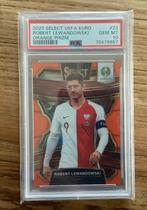 Lewandowski PSA10, Ophalen of Verzenden, Nieuw, Plaatje