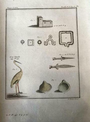 1835 Ingekleurde gravure, zilver reiger / Voyage de Pallas beschikbaar voor biedingen