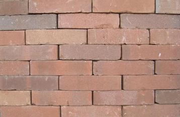 Aktie gebakken Waaltjes / Waalformaten Bruin genuanceerd beschikbaar voor biedingen