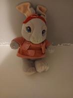 Lily van Pieter Konijn knuffel 20cm, Ophalen of Verzenden, Zo goed als nieuw, Konijn