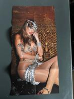 Taylor swift poster - life of a showgirl uit de cd, Ophalen of Verzenden, Zo goed als nieuw, Muziek
