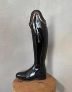 Celeris rijlaarzen - Voorraad Sale - 38, Dieren en Toebehoren, Paardrijkleding, Ophalen, Dressuur, Nieuw, Dames