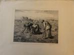 gravure arenleesters gesigneerd door E. Bourgoin, Ophalen of Verzenden