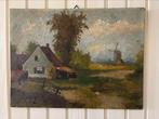 Olieverf schilderij afmetingen 40 X 30 cm, Ophalen