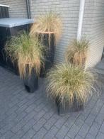 4 Kunststof Rotan Bloempottten, Tuin en Terras, Kunststof, Rond, 40 tot 70 cm, Ophalen