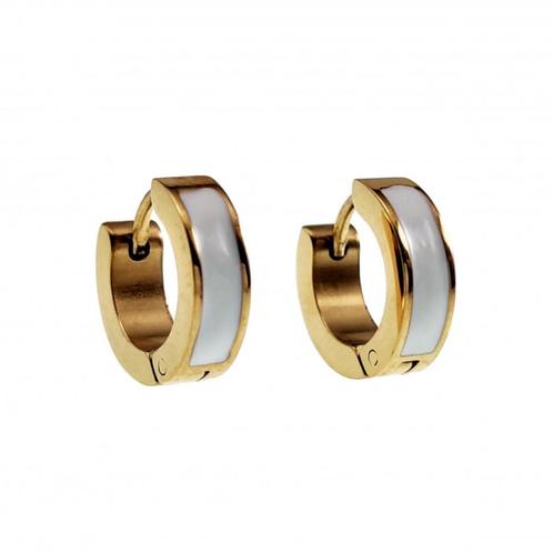 Ø13x 4mm Oorbellen Unisex - Verguld RVS - Oorringen Emaille, Sieraden, Tassen en Uiterlijk, Oorbellen, Nieuw, Hangers, Overige materialen