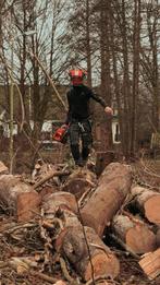 boom kappen, boom snoeien, bomen verwijderen, boomverzorging, Garantie, Tuinonderhoud of Snoeiwerk