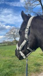 Prachtig lichtgrijs Eskadron Halster maat volbloed/cob, Dieren en Toebehoren, Ophalen of Verzenden, Zo goed als nieuw, Overige soorten