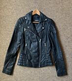 BARNEYS leren jasje zwart maat 6 (XS), Zwart, Ophalen of Verzenden, Zo goed als nieuw, Maat 34 (XS) of kleiner