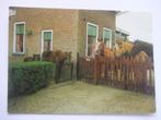 N40 Soest - Rusthuis voor Paarden, Verzenden, 1980 tot heden, Ongelopen, Utrecht
