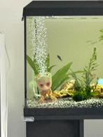Disney aquarium decoratie compleet, Dieren en Toebehoren, Vissen | Aquaria en Toebehoren, Ophalen of Verzenden, Zo goed als nieuw