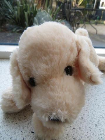 Hond Labrador knuffel merk Topeq blond meet ca 34 cm breed beschikbaar voor biedingen