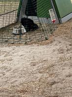 cavia buitenhok met ren, Ophalen, 60 tot 90 cm, Ren, Cavia