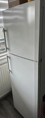 Liebherr witte koelkast en Everglades grijze koelkast, Ophalen, Gebruikt, 60 cm of meer, 160 cm of meer