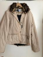 Winter (rij)jack Isabell Werth maat M, Ophalen of Verzenden, Zo goed als nieuw, Maat 38/40 (M)