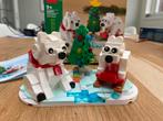 LEGO 40571 Winterse IJsberen - met doos en boekje!, Ophalen, Zo goed als nieuw, Complete set, Lego
