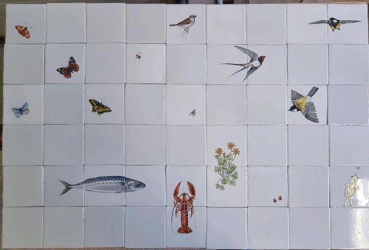 Echte Friese witjes De MOOISTE en BETAALBAAR!, Doe-het-zelf en Verbouw, Tegels, Zo goed als nieuw, Wandtegels, Keramiek, Minder dan 20 cm